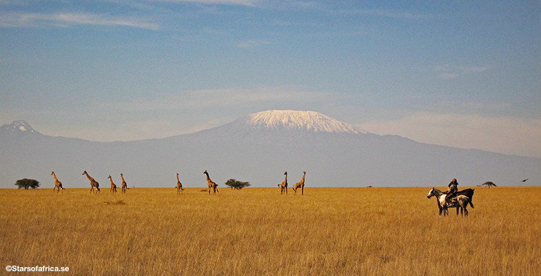 Kilimanjaro